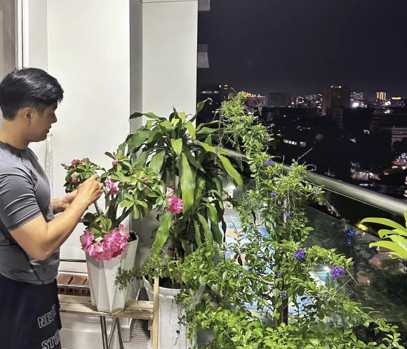 Điểm nhấn trên ban công nhà nam MC là rất nhiều cây xanh và hoa đua nhau khoe sắc, chưa kể anh còn trồng được cả cây ăn quả.