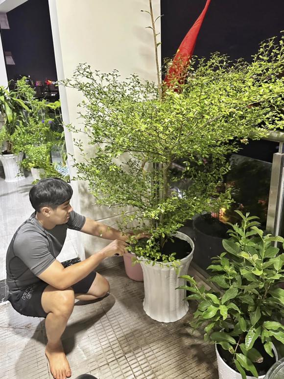 Nguyên Khang là người thích chăm sóc cây cảnh