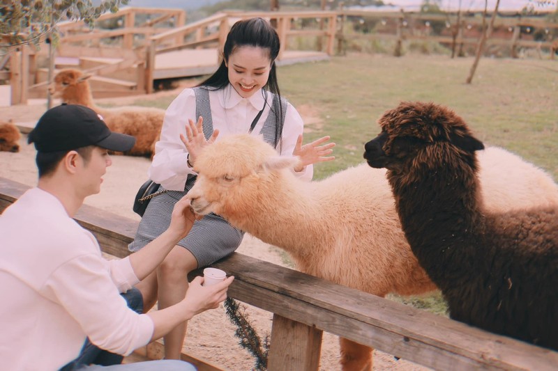 Cả hai luôn nhẹ nhàng, tình cảm mỗi khi bên nhau khiến nhiều người ngưỡng mộ.