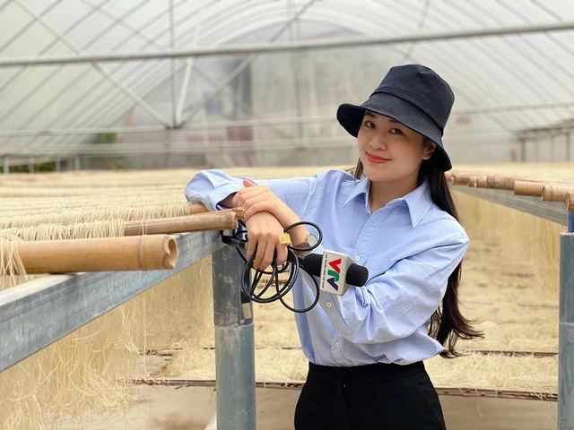 BTV Ngọc Bích