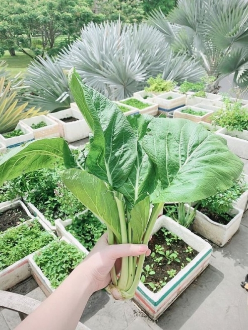 Góc ít biết bên trong biệt thự của Bảo Thy và chồng đại gia